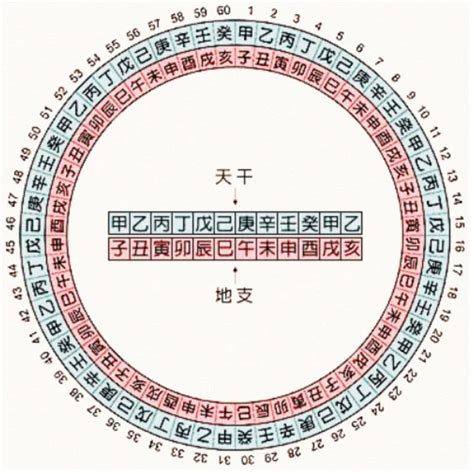 2025天干地支|干支对照表